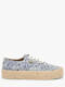 bleu papillon