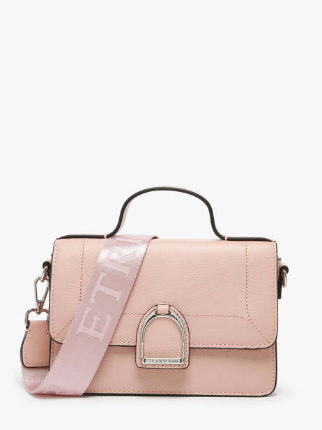 Small Leather Altesse Crossbody Bag Etrier Pink altesse EALT048S