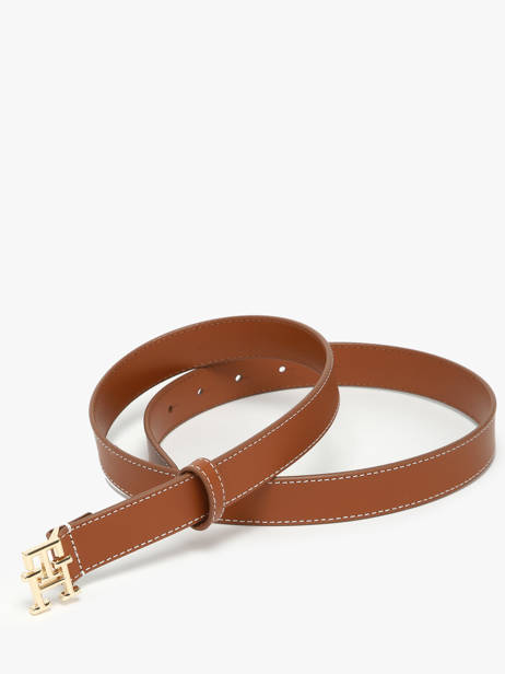 Ceinture Tommy hilfiger Marron logo AW17248 vue secondaire 2