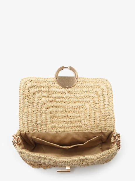 Raffia Nano Moon Fleuri Crossbody Bag Vanessa bruno Beige moon raphia 25V40326 other view 3