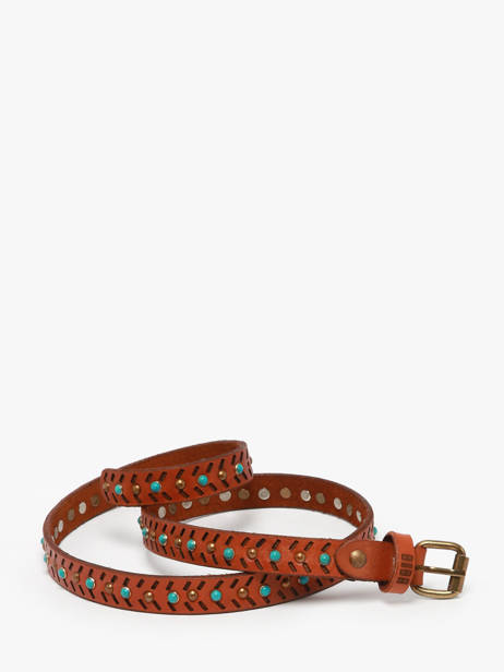 Ceinture Biba Marron accessoires WIN1A vue secondaire 3