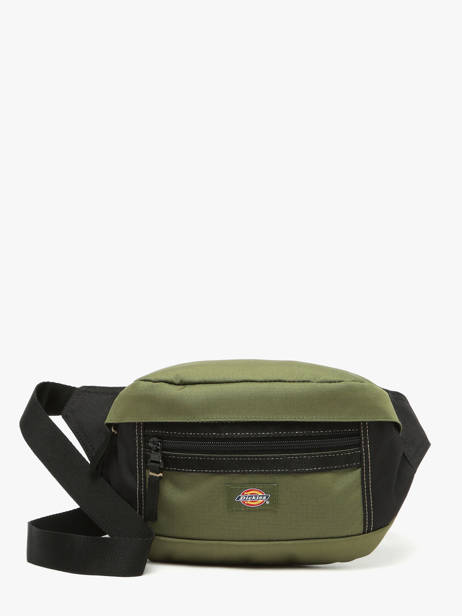 Sac Banane Ashville Dickies Vert ashville KD0A4Y1U